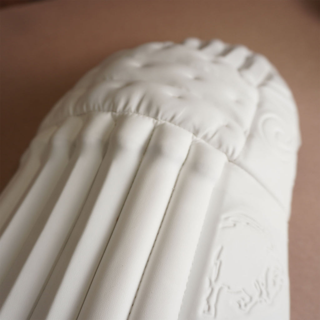 Bison Cricket Pads close-up showing premium foam construction and sleek design for top protection.