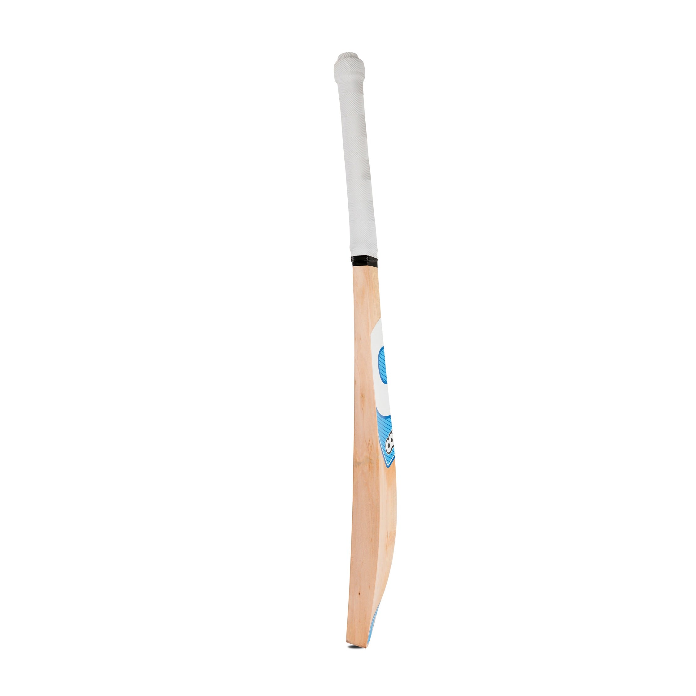 CATCHING BAT