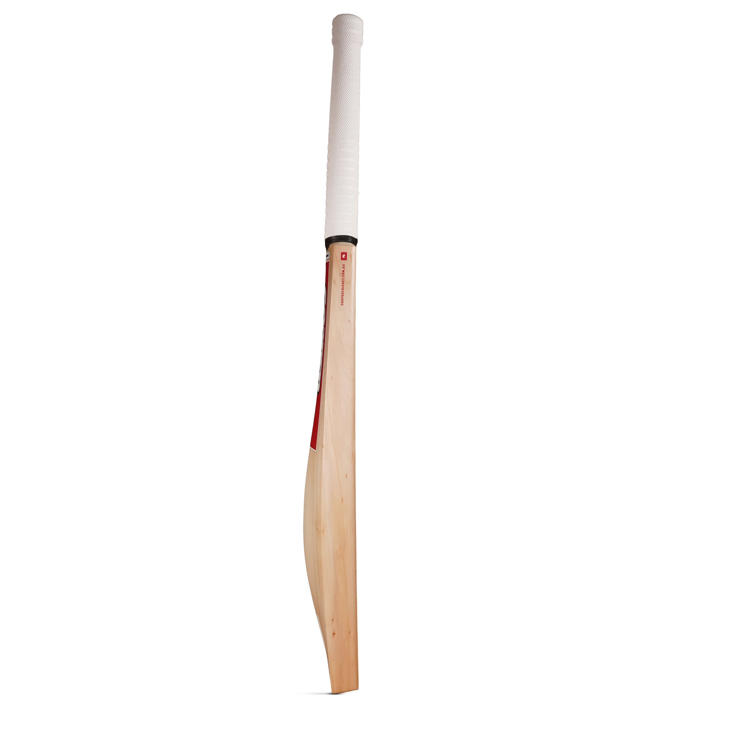 XL CRICKET BAT