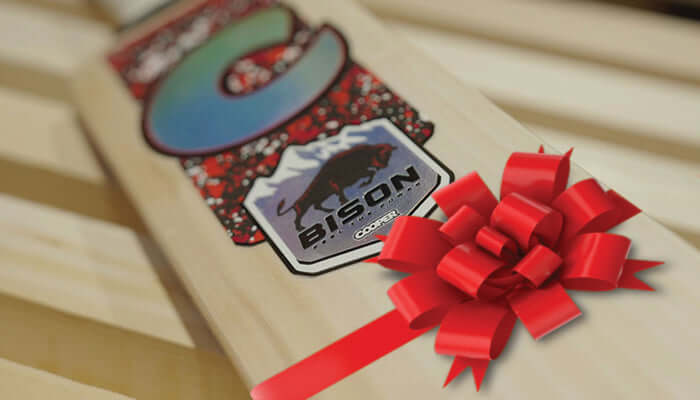 Bison cricket bat for Christmas