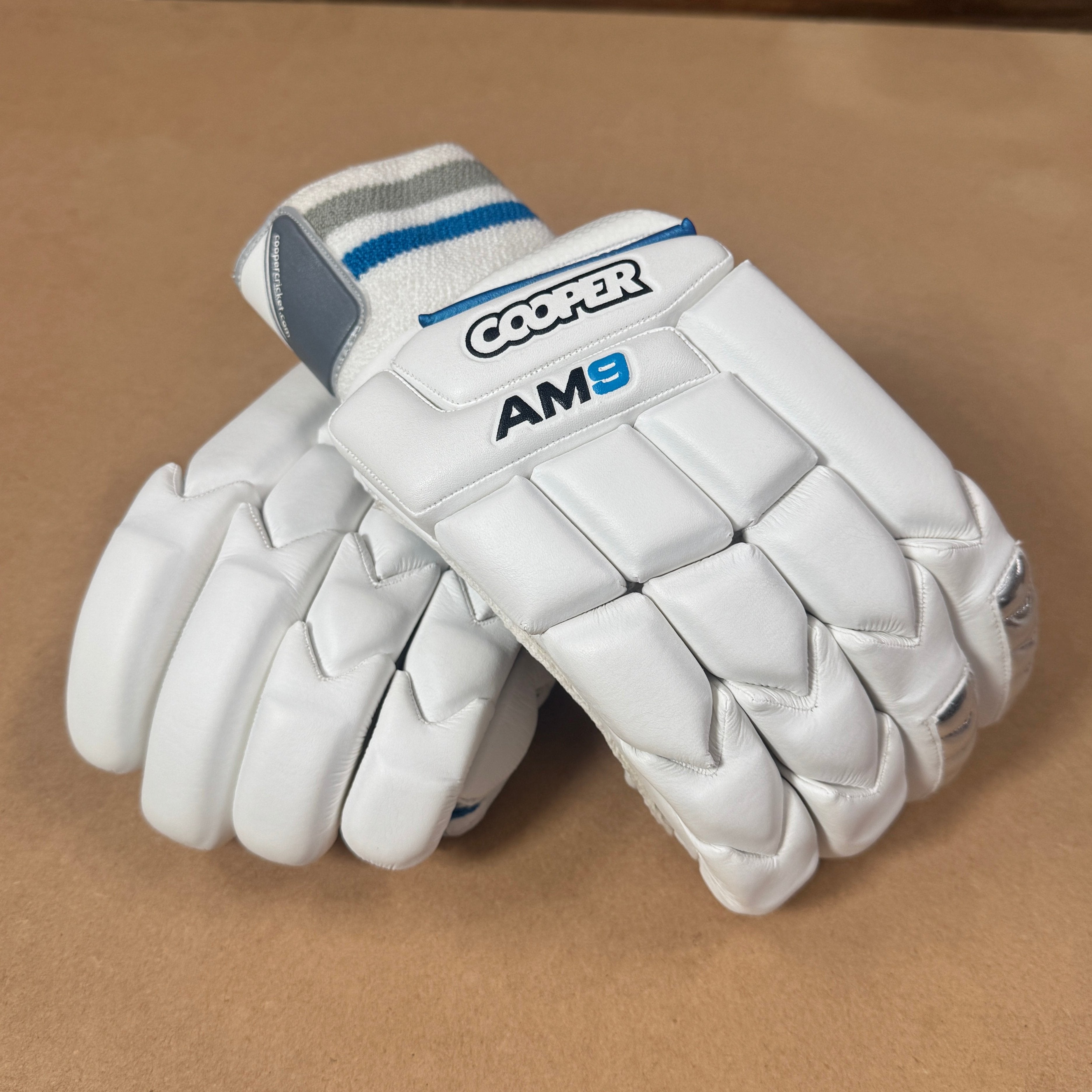 AM9 GLOVES 2024/25