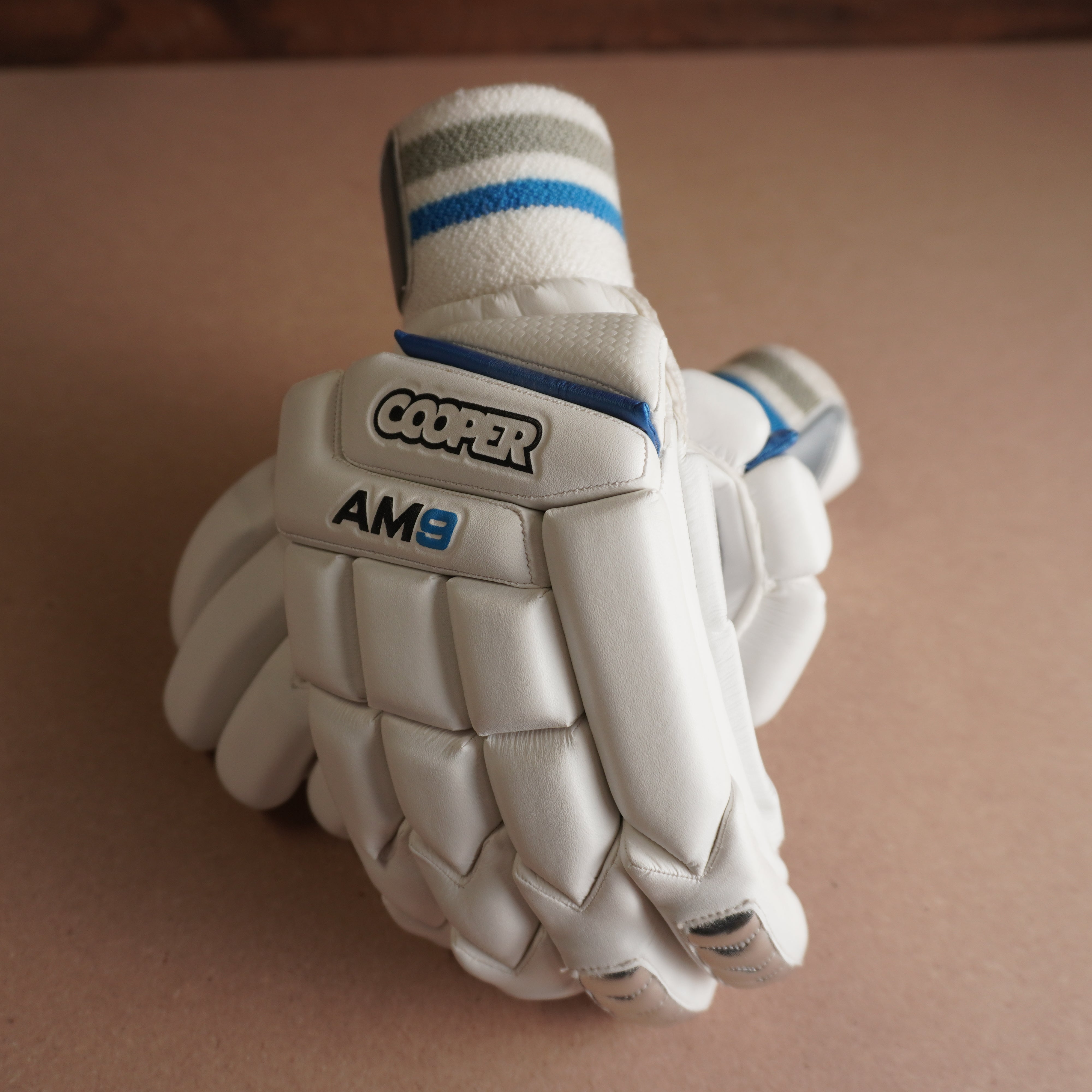 AM9 GLOVES 2024/25