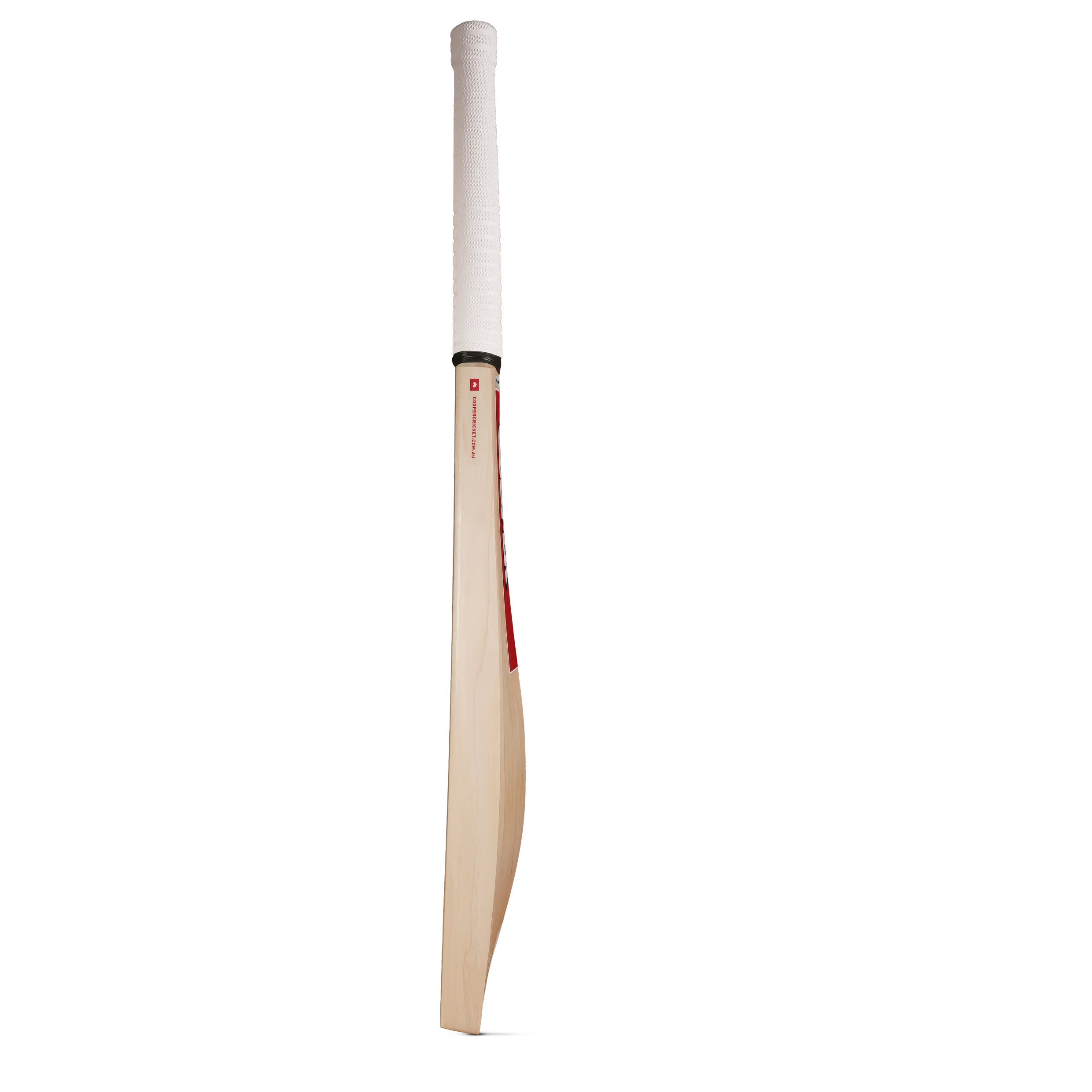 XL CRICKET BAT