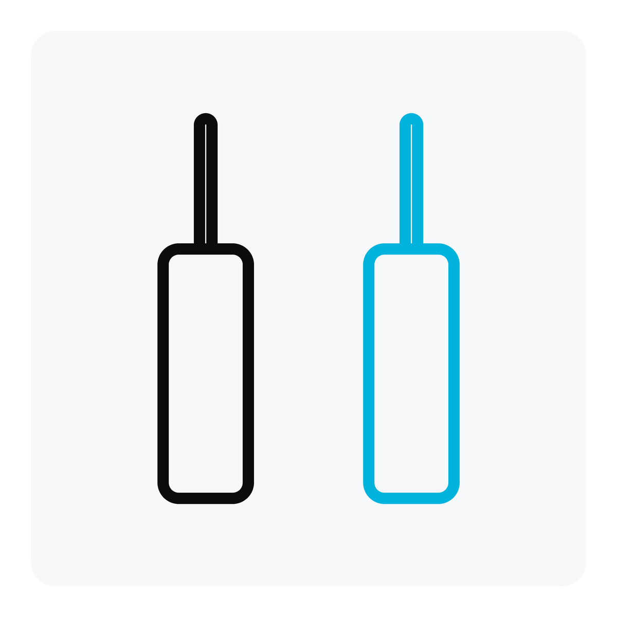 Practice bat add-on: two matching cricket bats icon