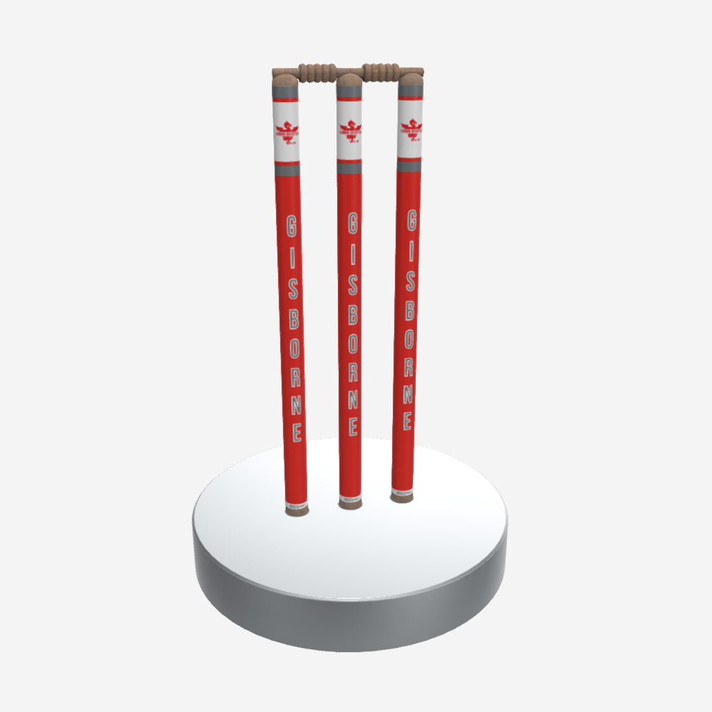 CUSTOM CLUB CRICKET STUMPS