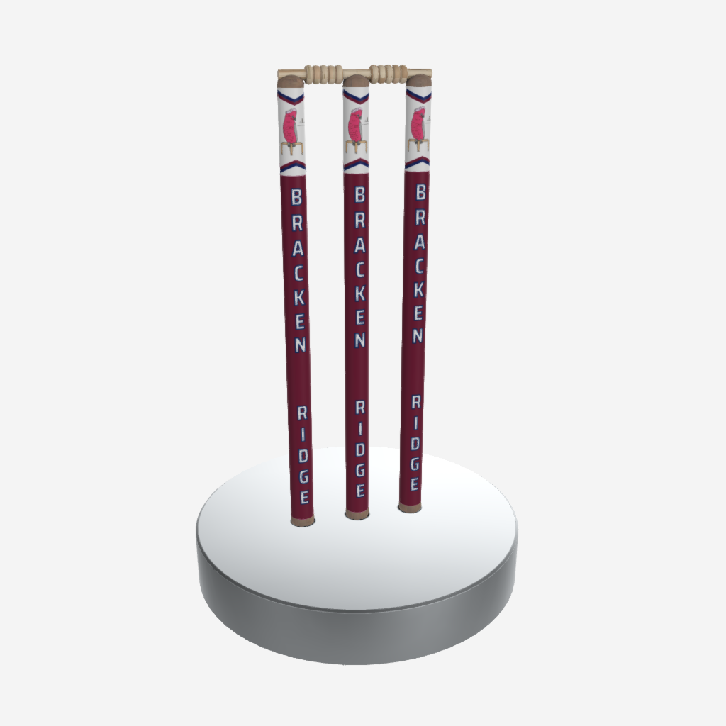 CUSTOM SHIELD CRICKET STUMPS