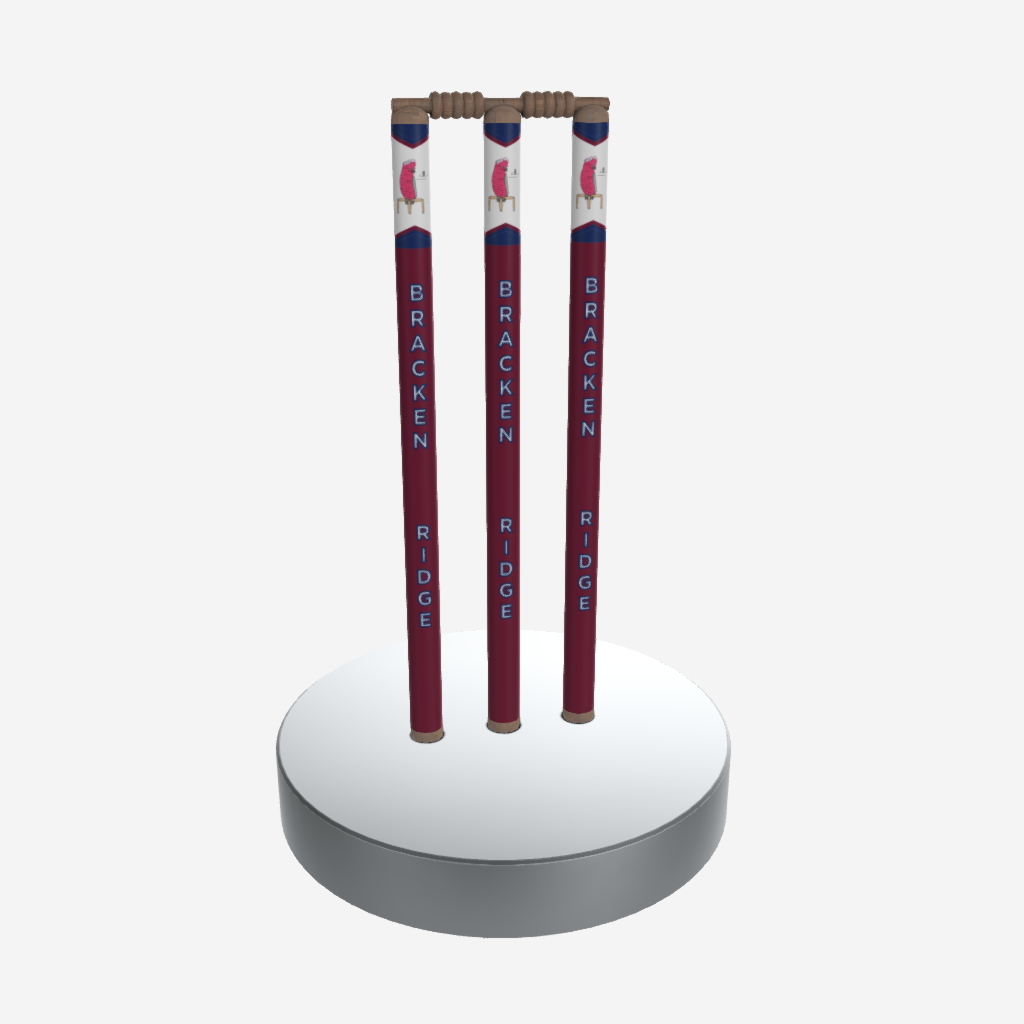 CUSTOM CLUB CRICKET STUMPS
