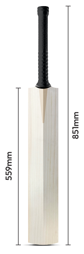 Male adult size cricket bat, 851mm overall